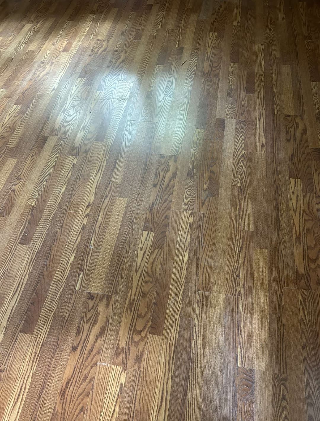 Hardwood image